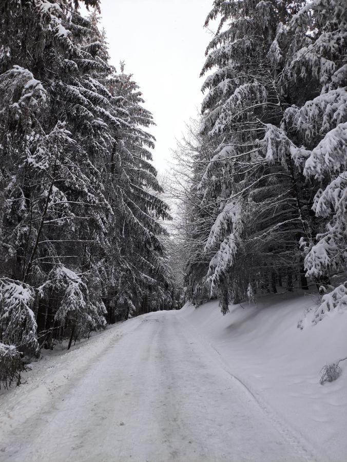 Zentrale und gemütliche Ferienwohnung in Winterberg nah an der Natur Exterior foto